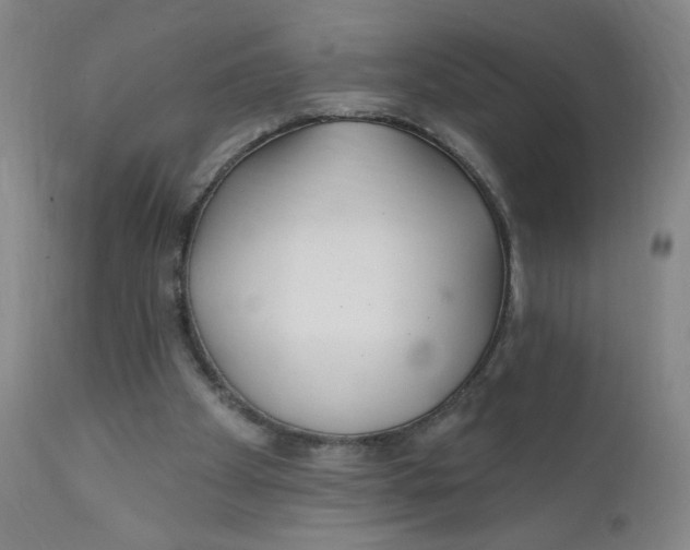 X0000112160105200909041136