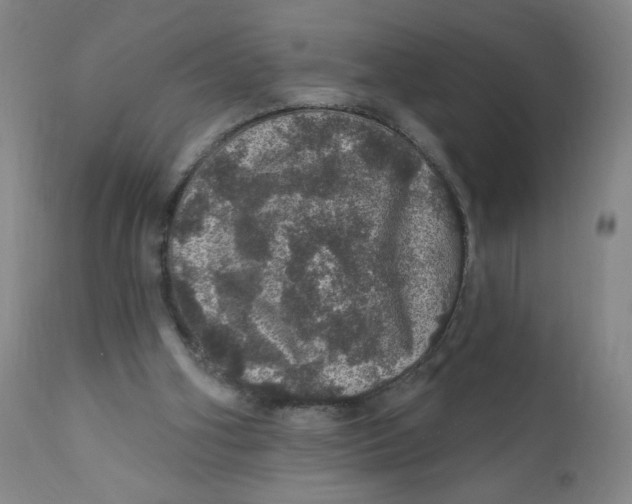 X0000112160106200909041136