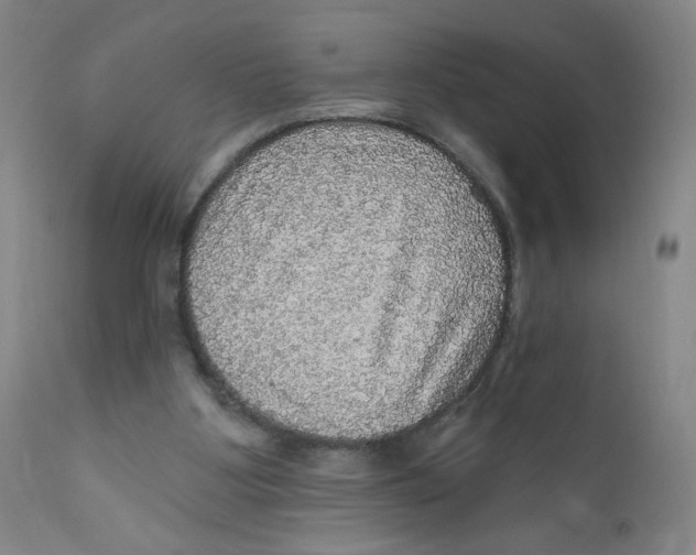 X0000112160107200909041136