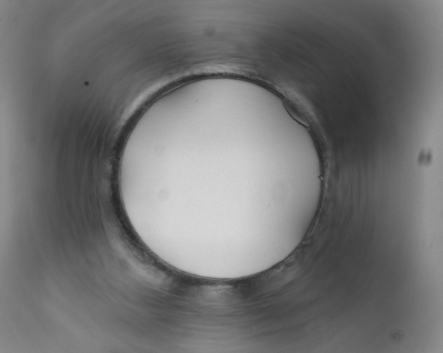 X0000112160108200909041136