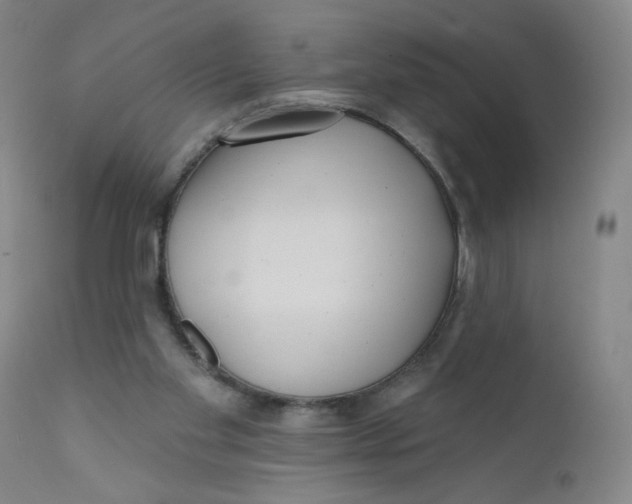 X0000112160109200909041136