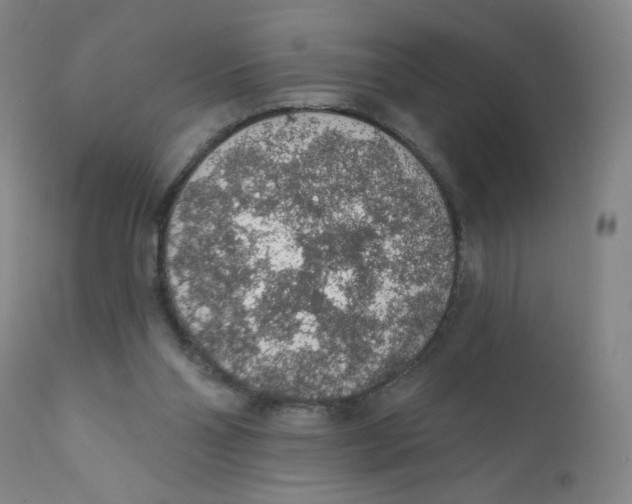 X0000112160110200909041135