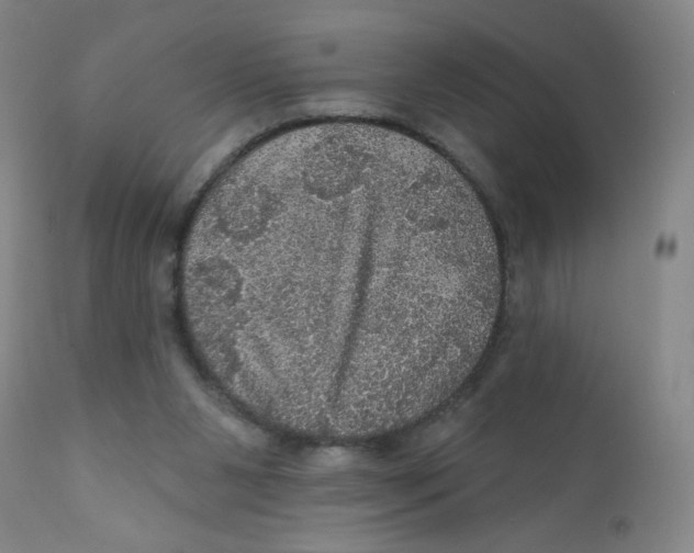 X0000112160111200909041135