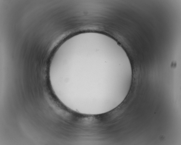 X0000112160112200909041135