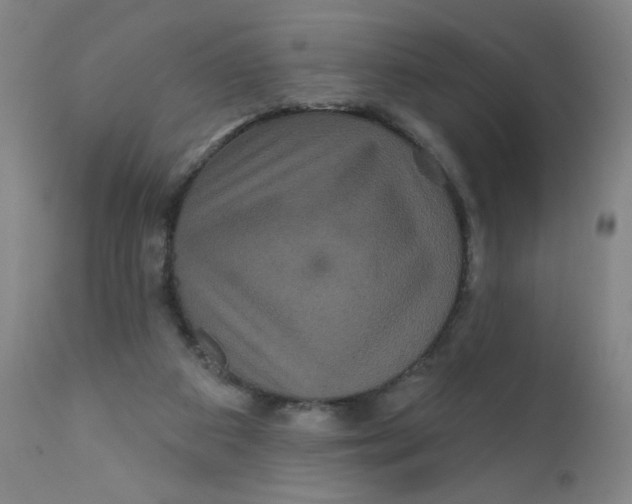 X0000112160113200909041135