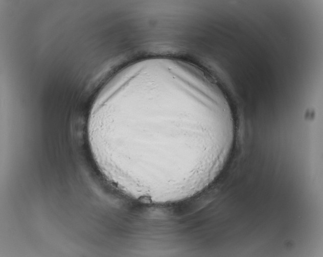 X0000112160115200909041135