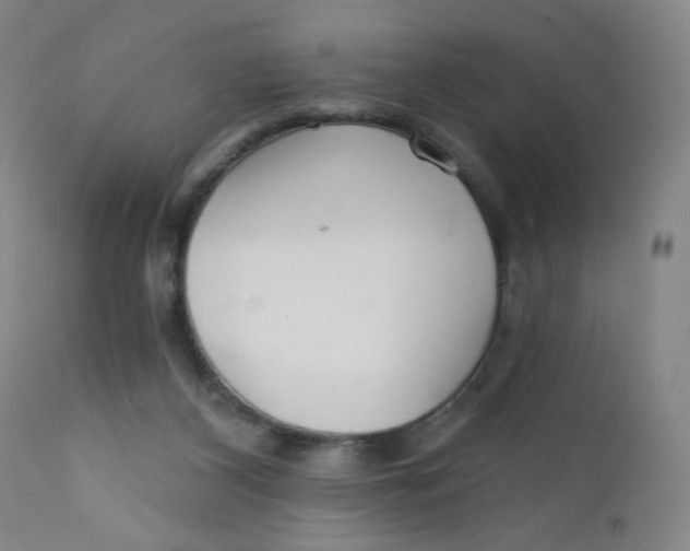 X0000112160116200909041135