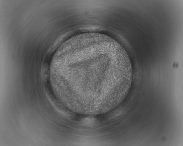 X0000112160119200909041135