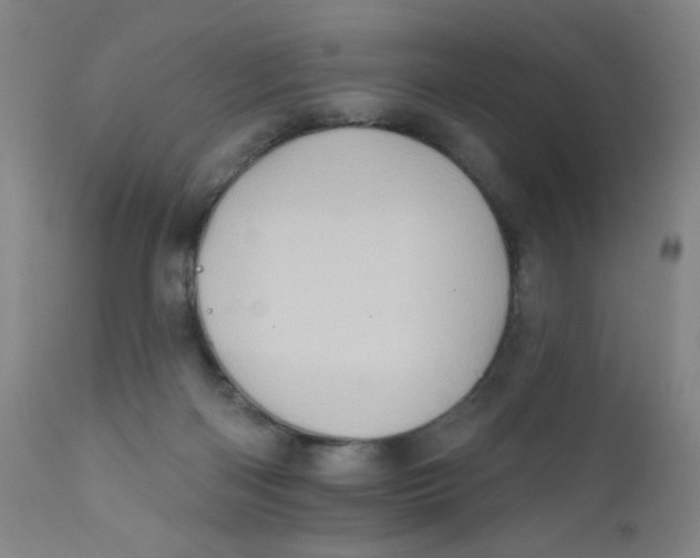 X0000112160122200909041135
