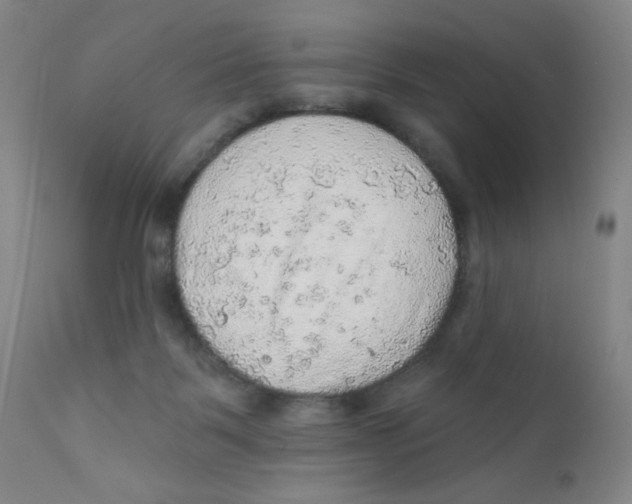 X0000112160123200909041135