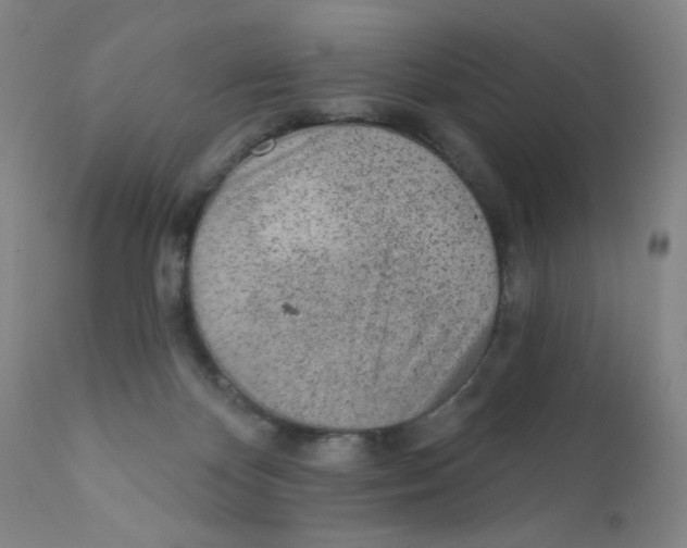 X0000112160124200909041135