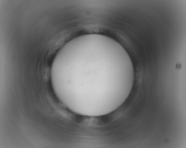 X0000112160125200909041135