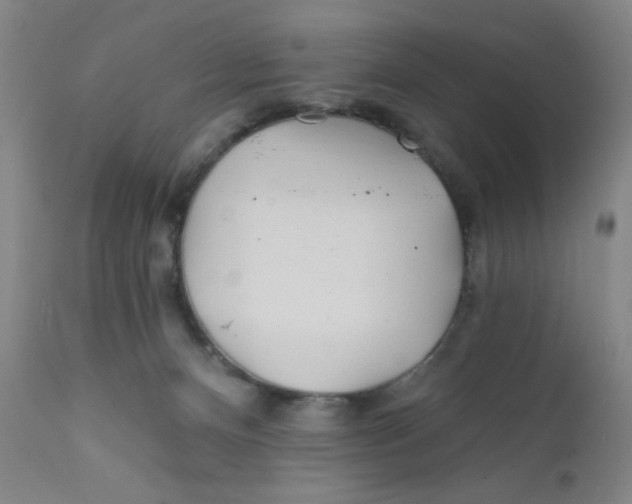 X0000112160128200909041135