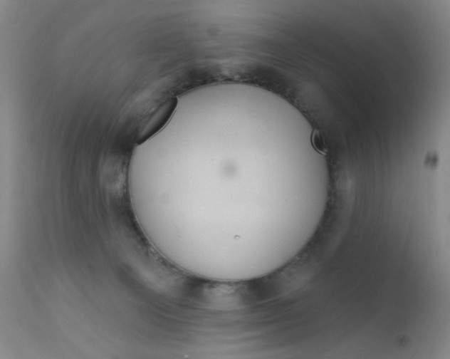 X0000112160129200909041135
