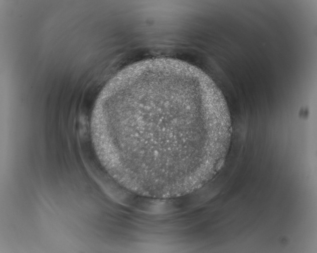 X0000112160130200909041135