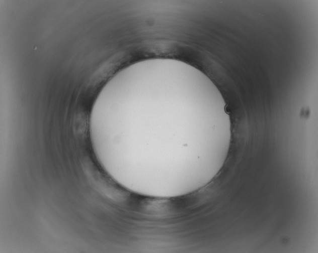 X0000112160132200909041135