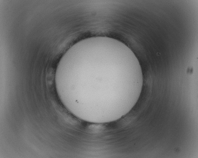 X0000112160133200909041135