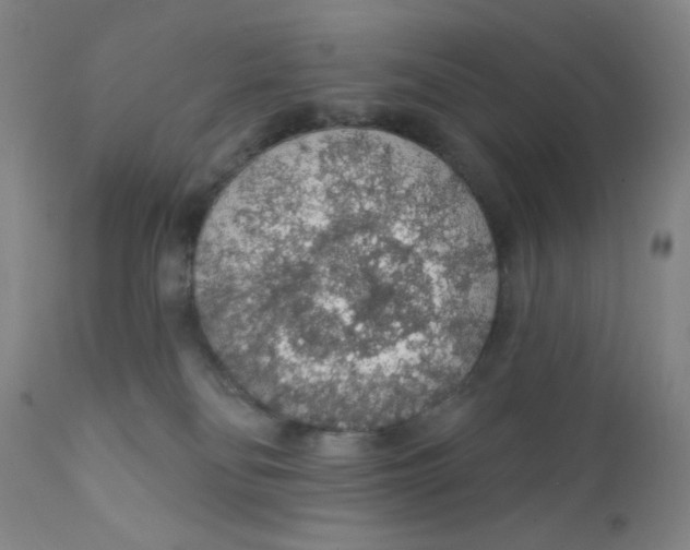 X0000112160134200909041135
