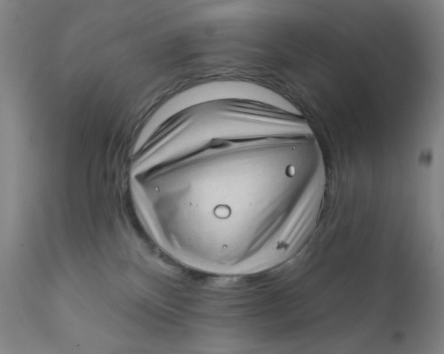 X0000112160136200909041135