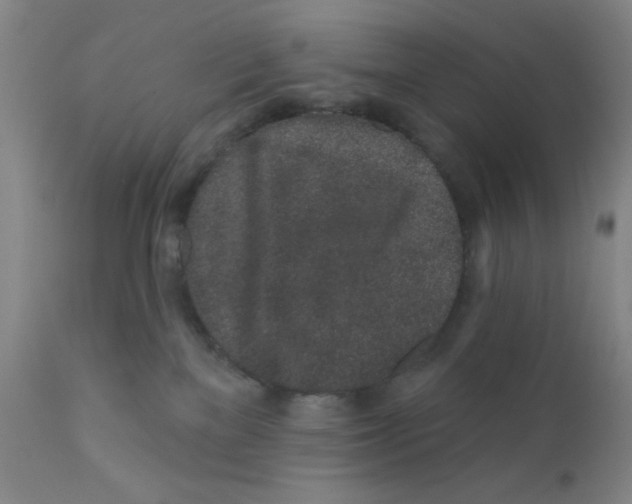 X0000112160137200909041135