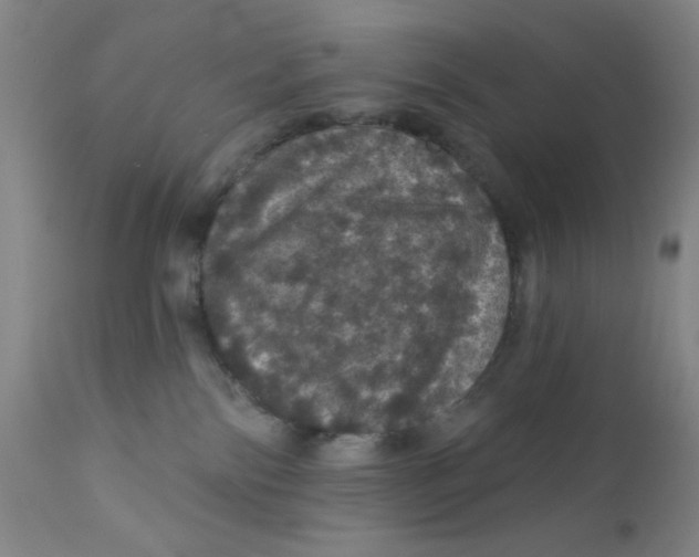 X0000112160138200909041135