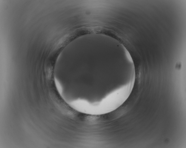 X0000112160139200909041135