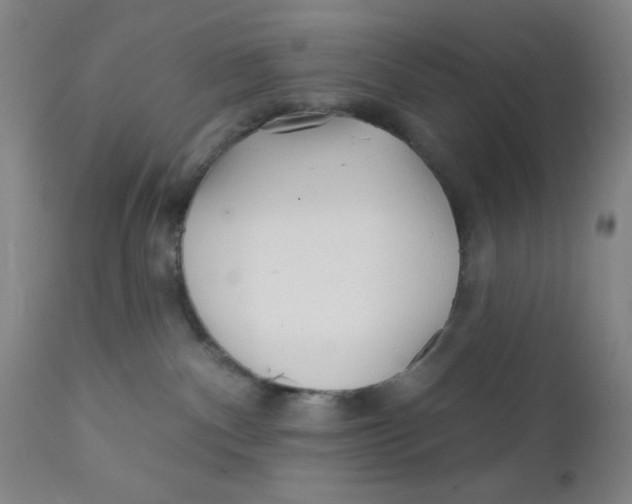 X0000112160140200909041135