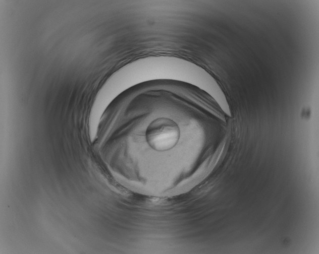 X0000112160141200909041135