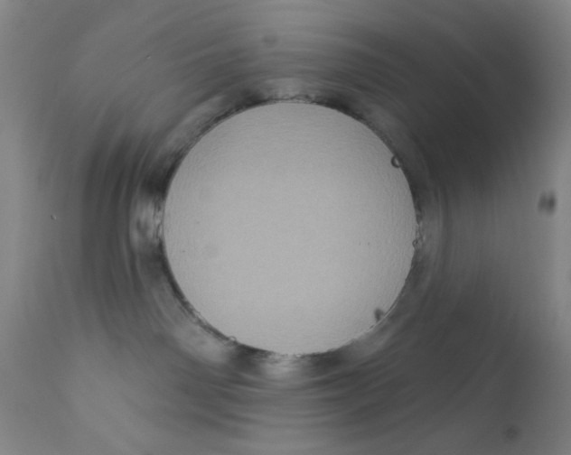 X0000112160142200909041135