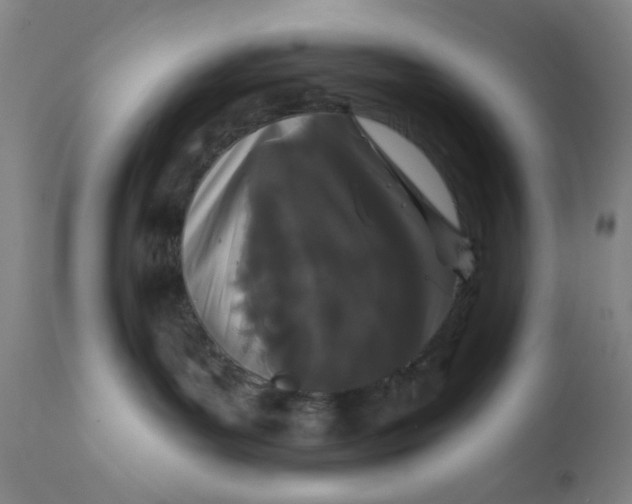 X0000112160143200909041135