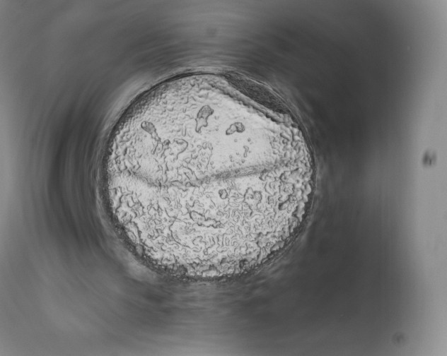 X0000112160145200909041134