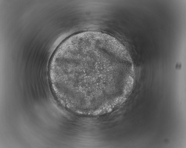 X0000112160147200909041134