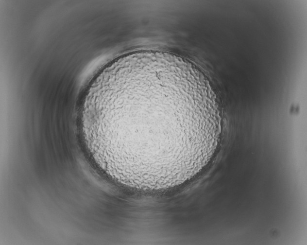 X0000112160149200909041134