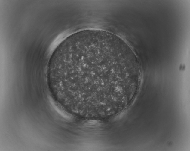 X0000112160151200909041134