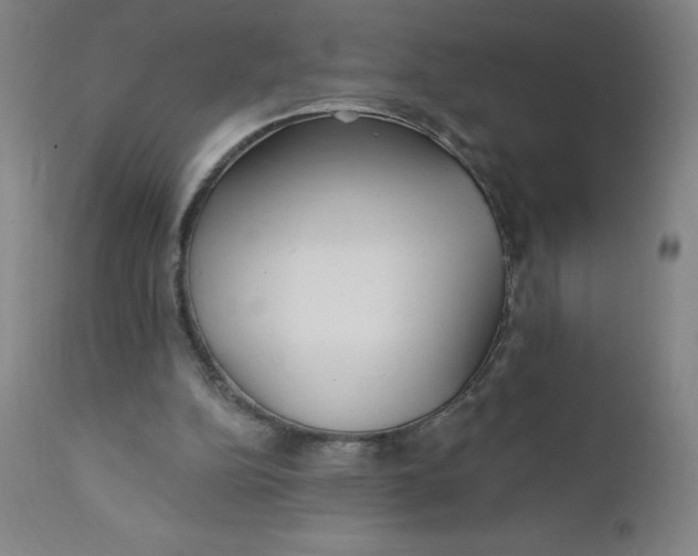 X0000112160152200909041134