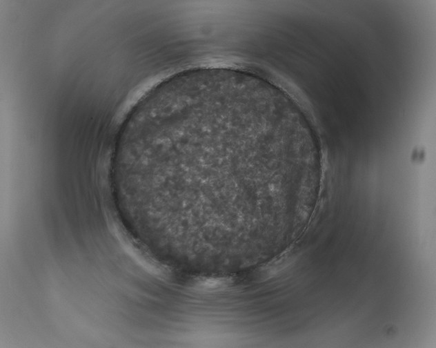 X0000112160155200909041135