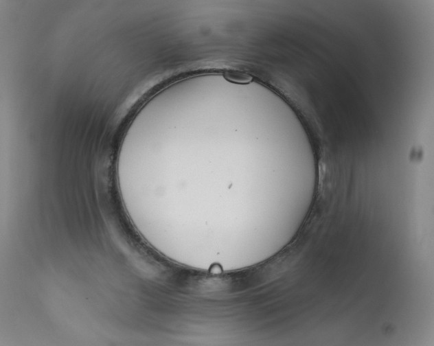X0000112160156200909041135