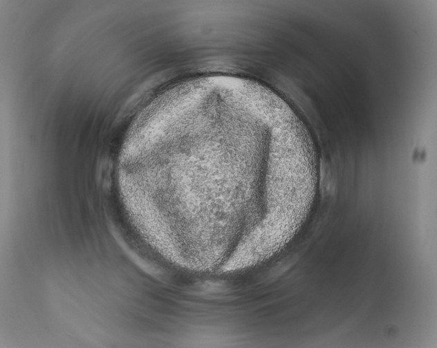 X0000112160157200909041135