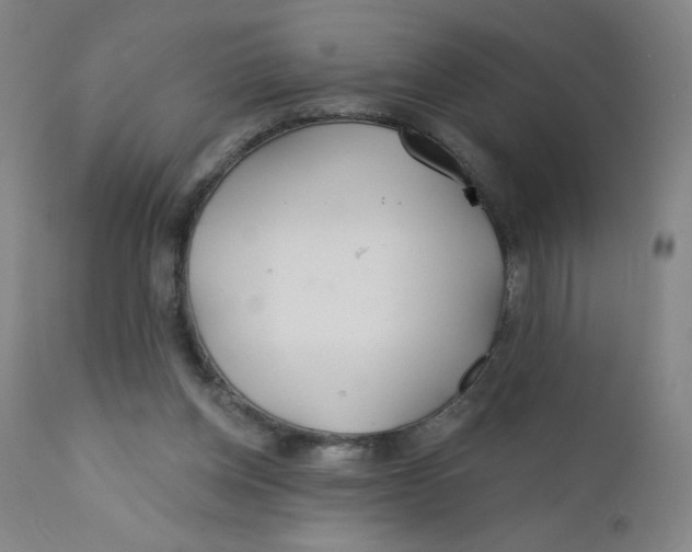 X0000112160158200909041135