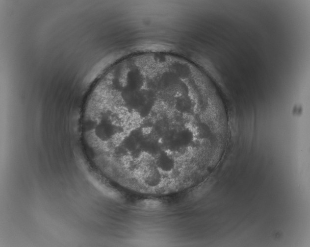 X0000112160159200909041135