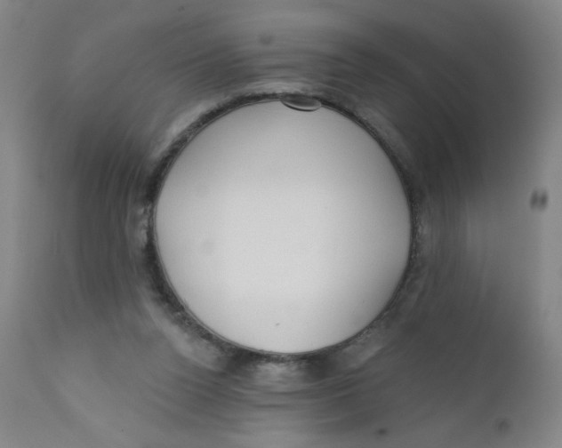 X0000112160160200909041135