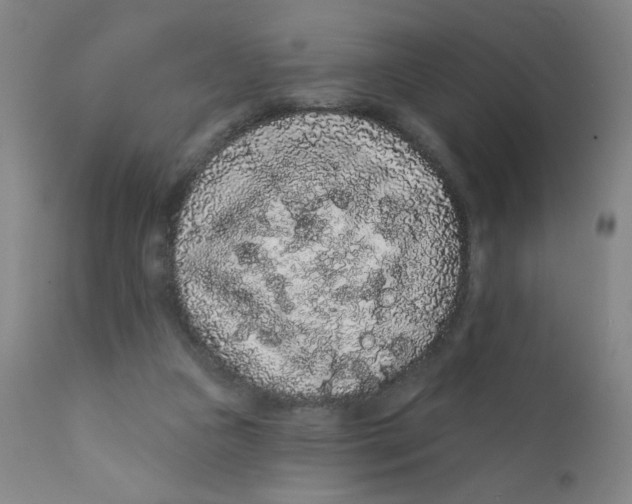 X0000112160161200909041135