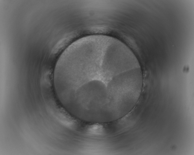 X0000112160162200909041135