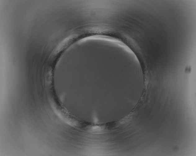 X0000112160163200909041135