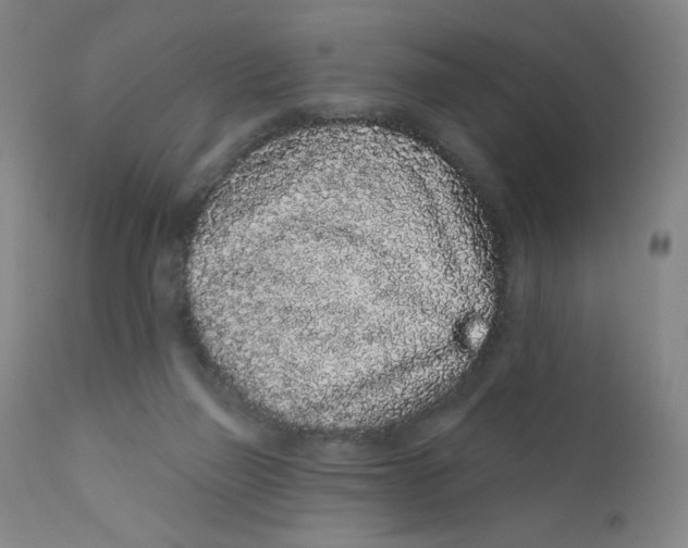 X0000112160165200909041135