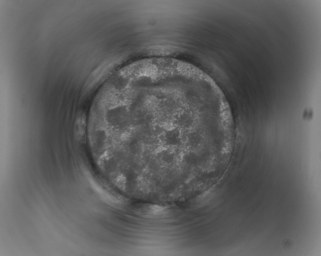 X0000112160166200909041135
