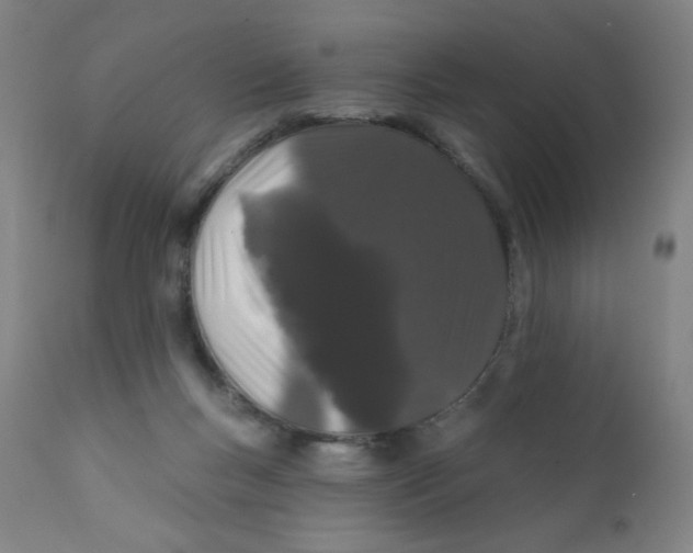 X0000112160167200909041135
