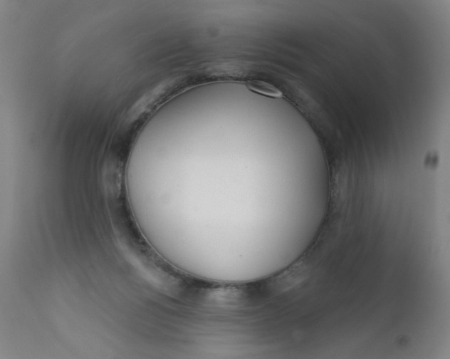 X0000112160168200909041135