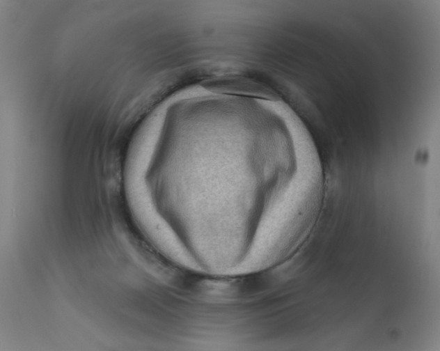 X0000112160170200909041135