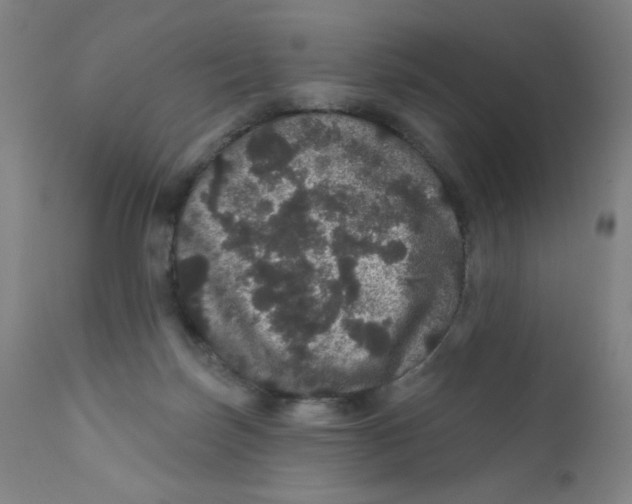 X0000112160171200909041135